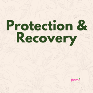 Protection & Recovery